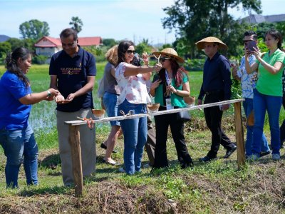 SS Rice News Convention 2025, Pattaya - Thailand